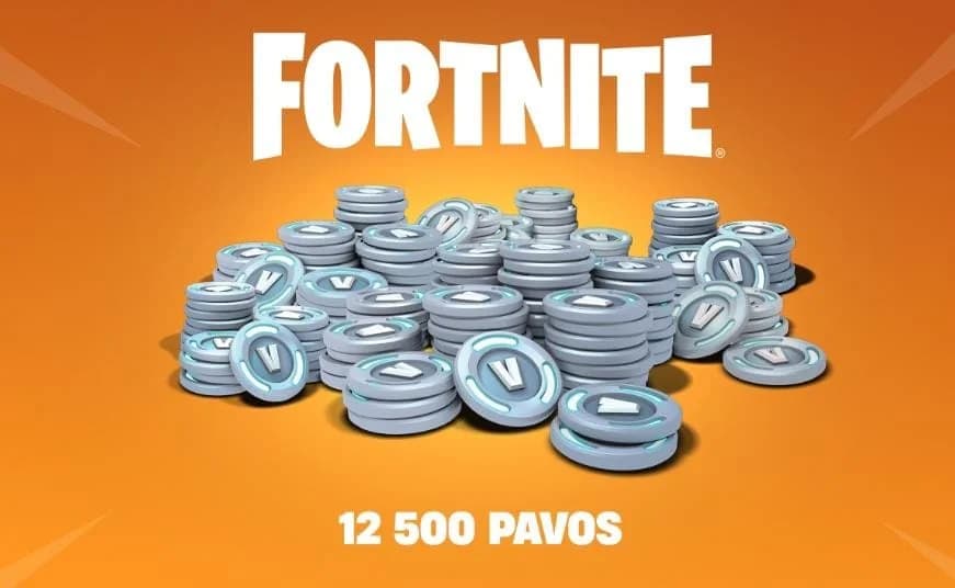 12.500 paVos